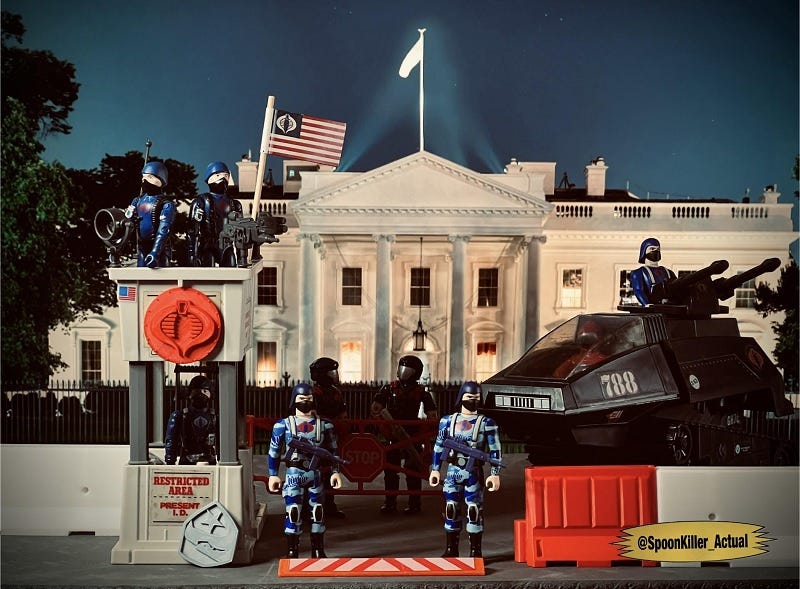 COBRA occupies the White House COBRA occupies the White House