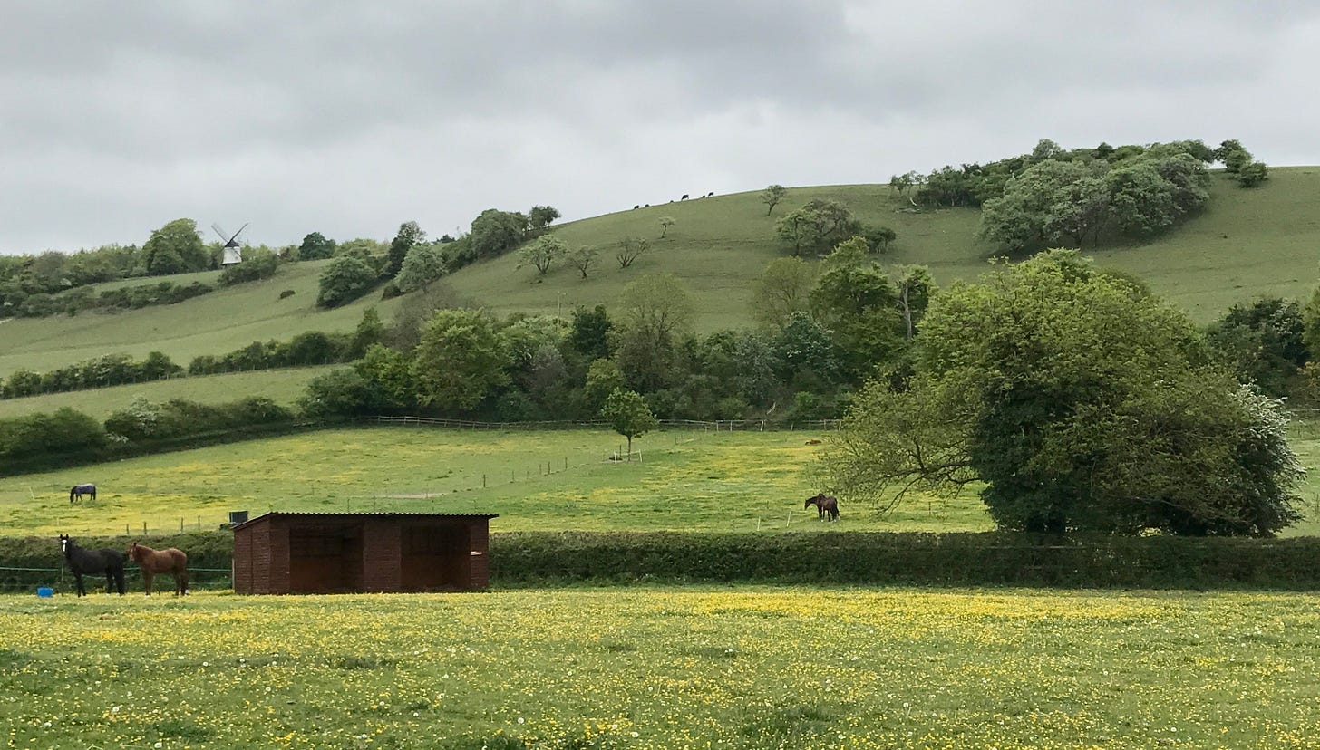 The Cobstone Windmill watches over the Hambleden Valley 