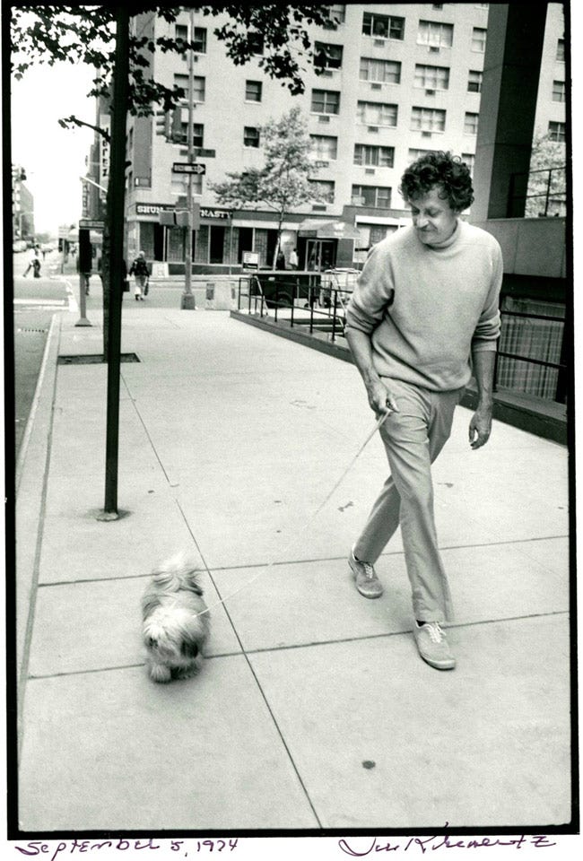Kurt Vonnegut - by Bailey Richardson - Art Dogs