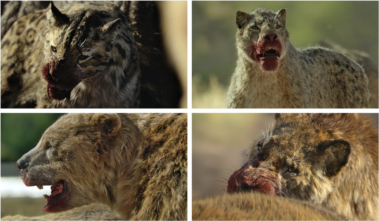 Four predators from Prehistoric Planet: Ice Age shown with blood on their faces. Smilodon fatalis, Homotherium sp., Arctotherium angustidens, and Smilodon populator.