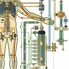 Pneumatic Systems