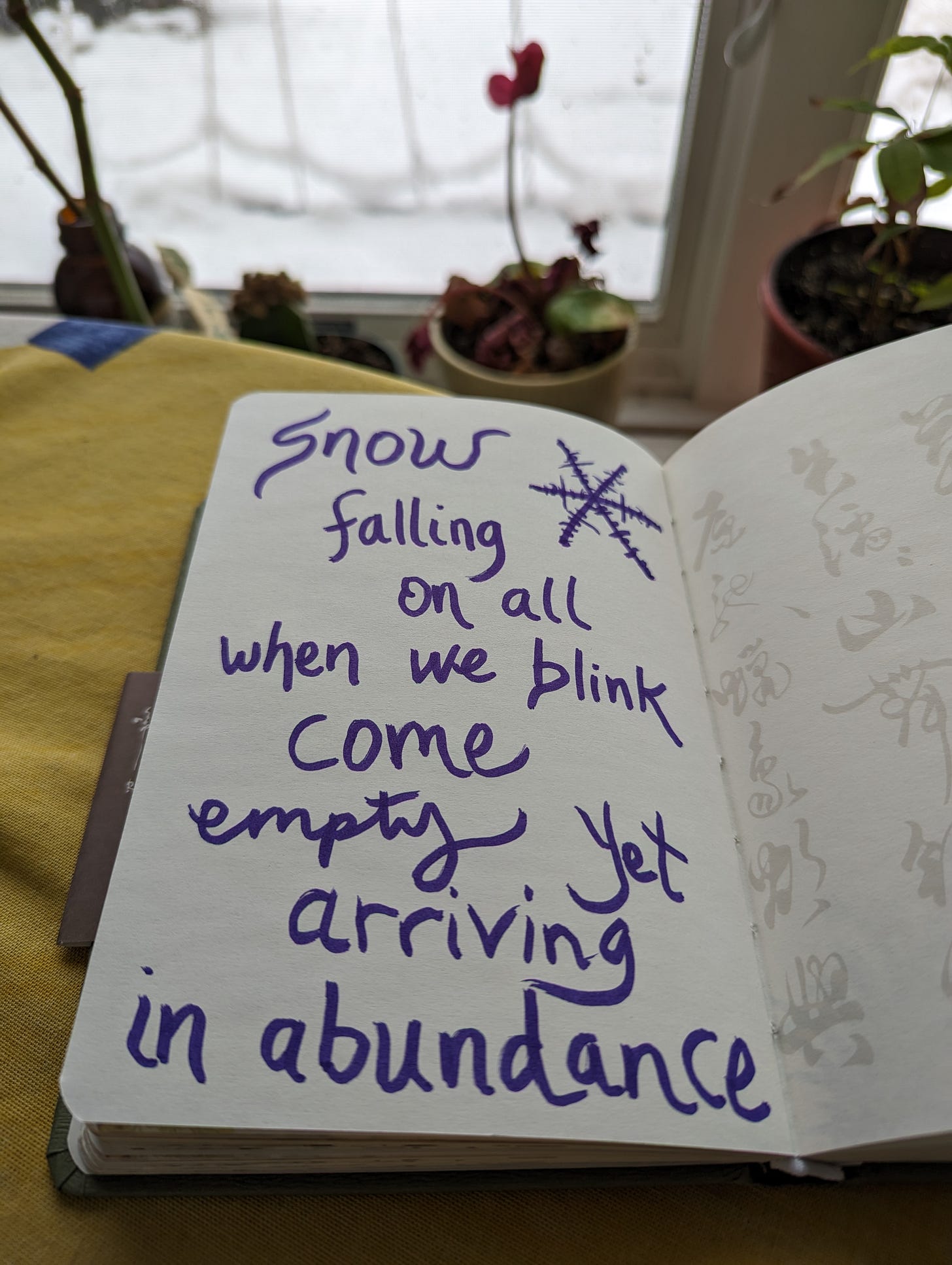 Photo of writing in purple marker on left page of open journal placed on yellow tablecloth with potted single flower on windowsill in the background and snowy scene outside.