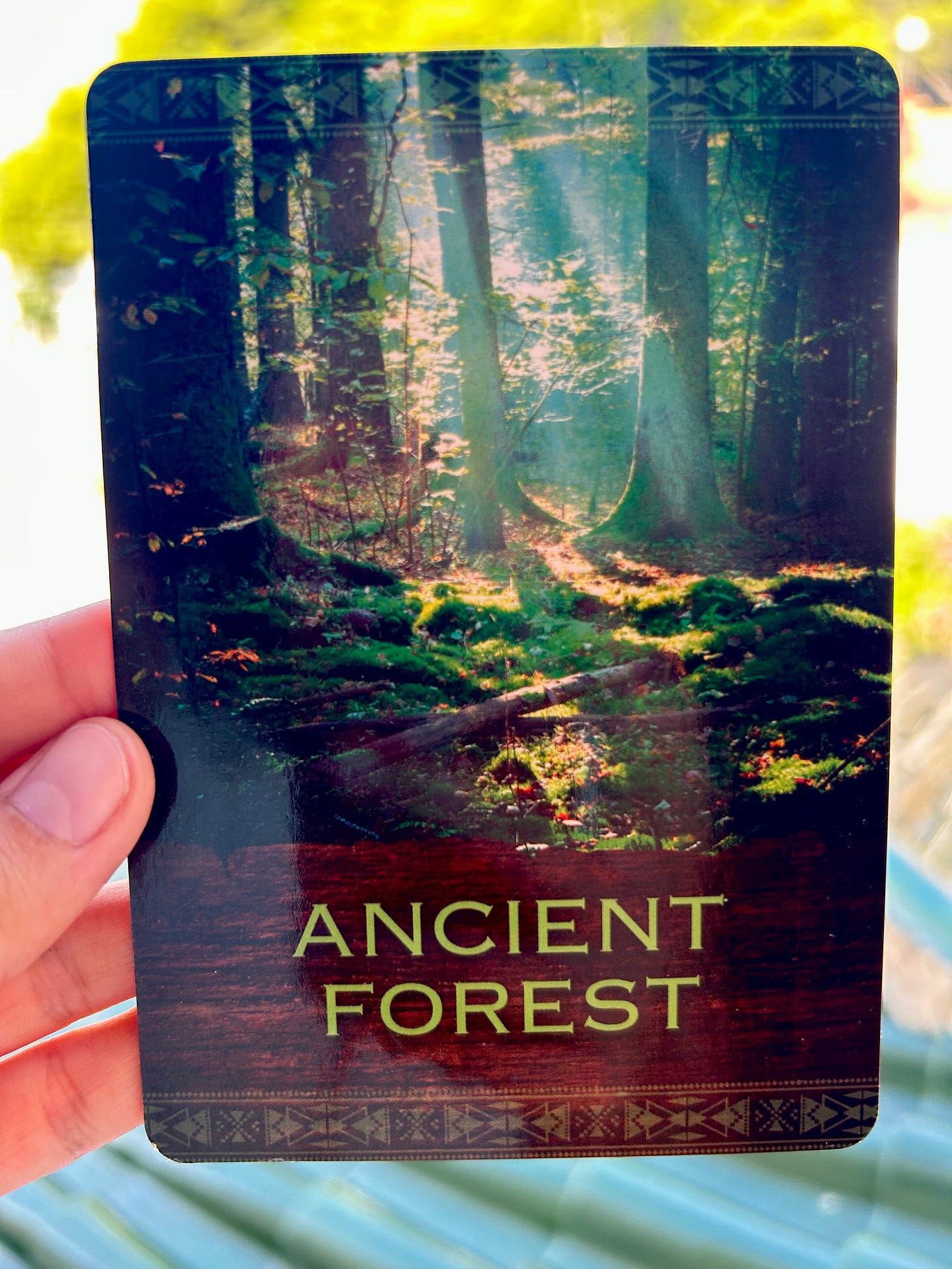 Ancient Forest - Native Spirit oracle cards