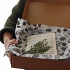 Unboxing the Winter