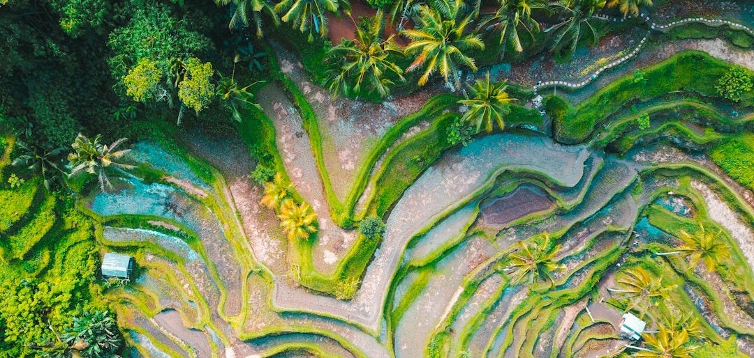 aerial photography of rice terraces during daytime aerial photography of rice terraces during daytime