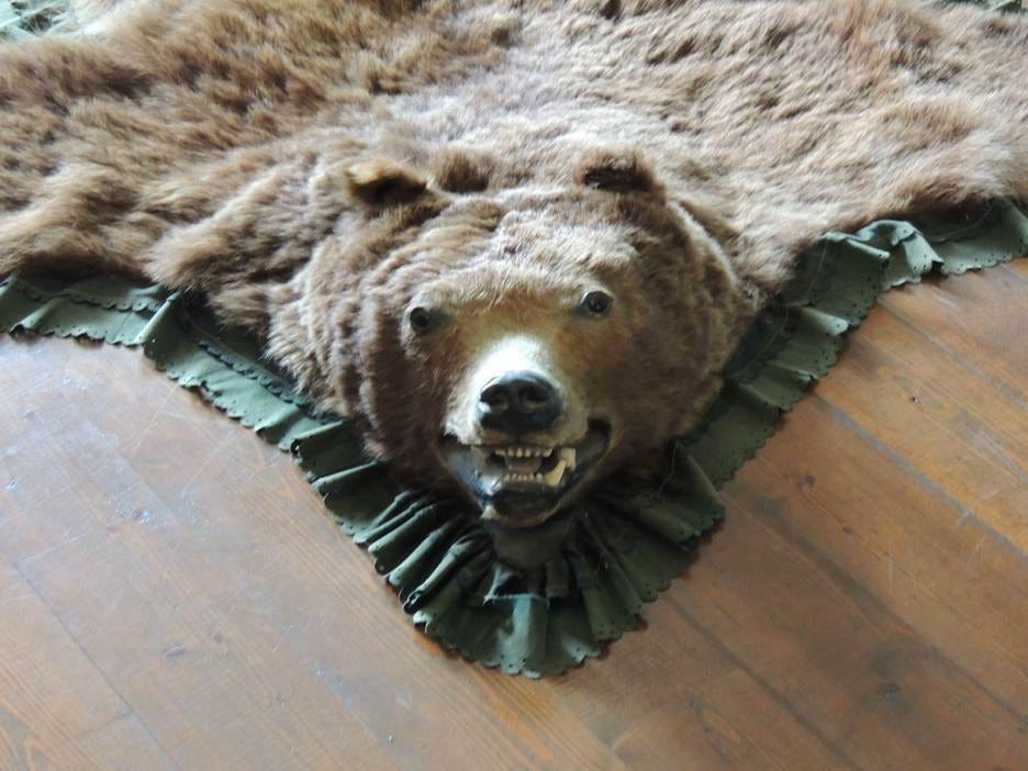 A bear rug on the floor

AI-generated content may be incorrect.