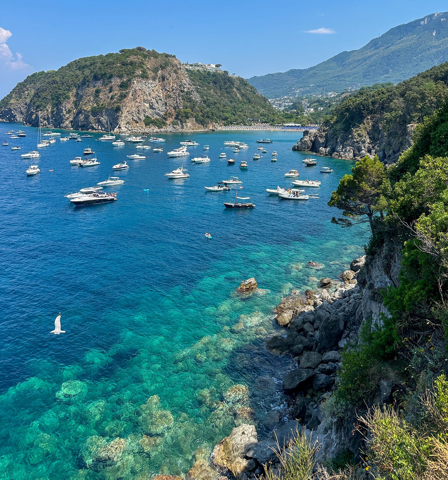 this ischia travel guide has everything from where to eat, what to do and where to stay on this beautiful island, to a 3 day itinerary this ischia travel guide has everything from where to eat, what to do and where to stay on this beautiful island, to a 3 day itinerary