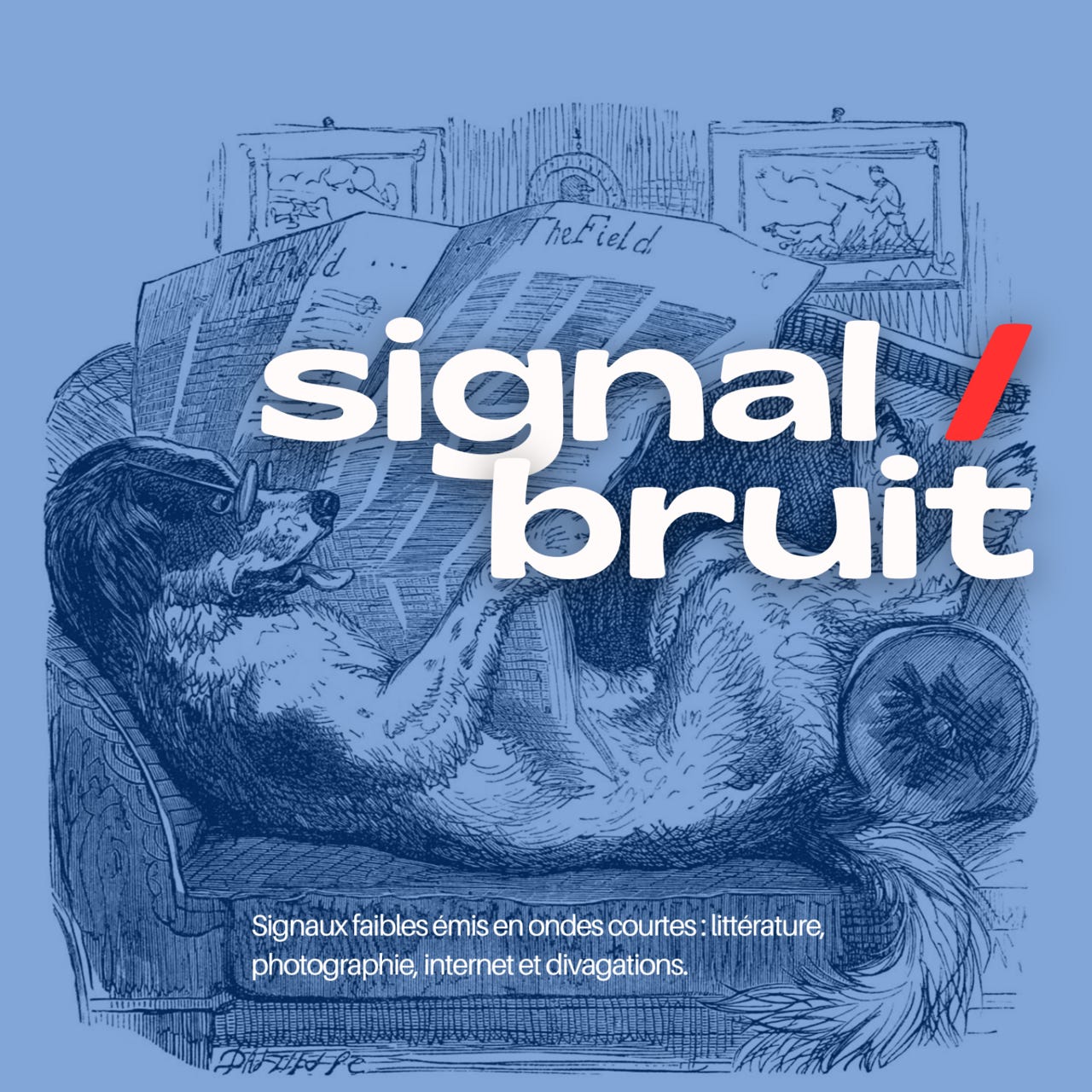 Signal/Bruit