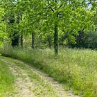 I Walked 500 Miles Expecting Answers. Here Is What I Found Instead.