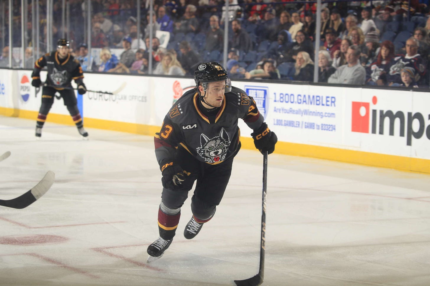 TALL ORDER - Chicago Wolves TALL ORDER - Chicago Wolves