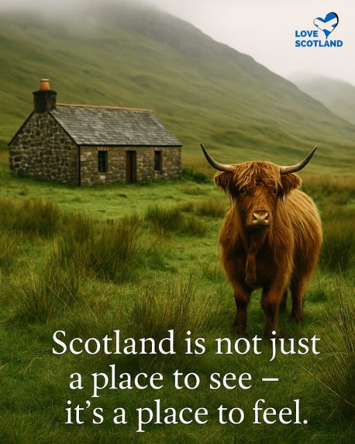 May be an image of text that says "LOVE SCOTLAND Scotland is not just a place to see- it's a place to feel."
