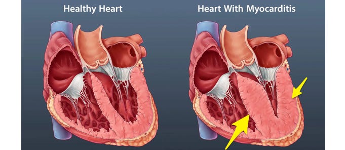 image 5.png image 5.png