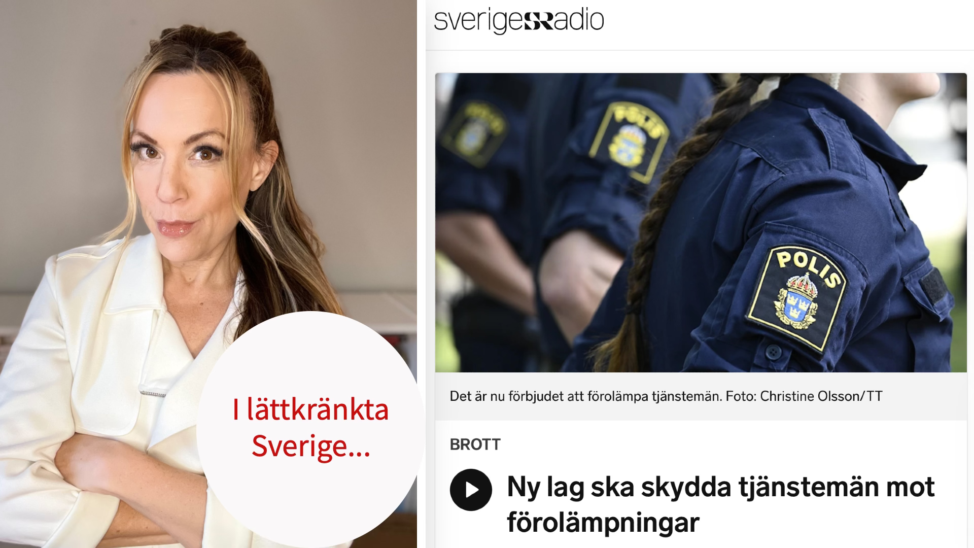 Låt folk få skrika polisjävel utan att hamna i fängelse