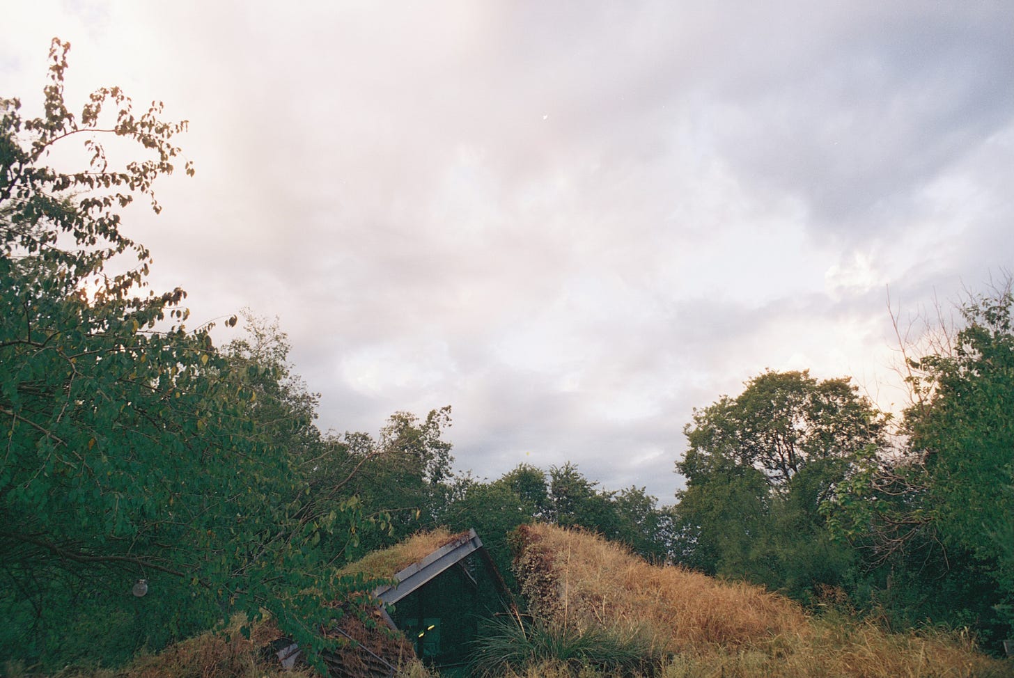 Edgeland House green roof gone brown