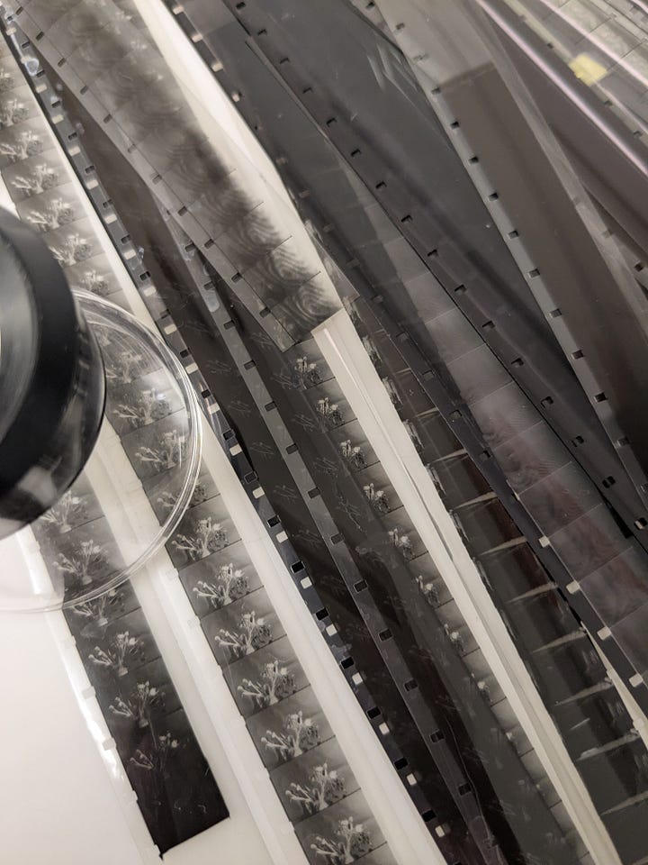 16mm film development