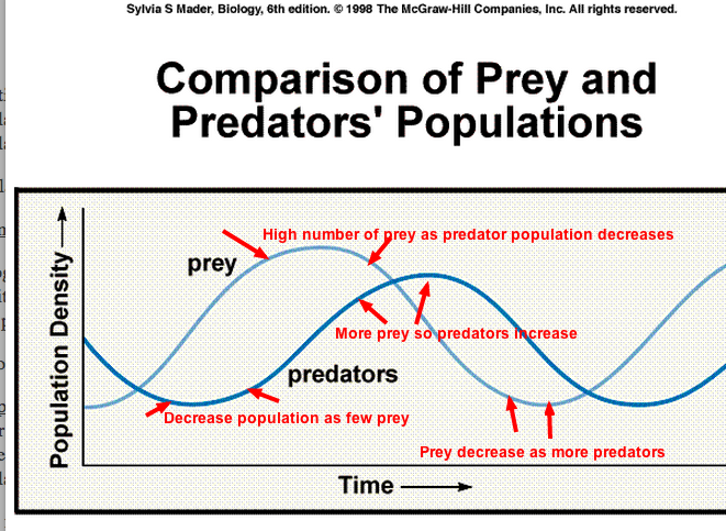 Predator / Prey Relationships - Tropical Rain forest: Congo (Africa)
