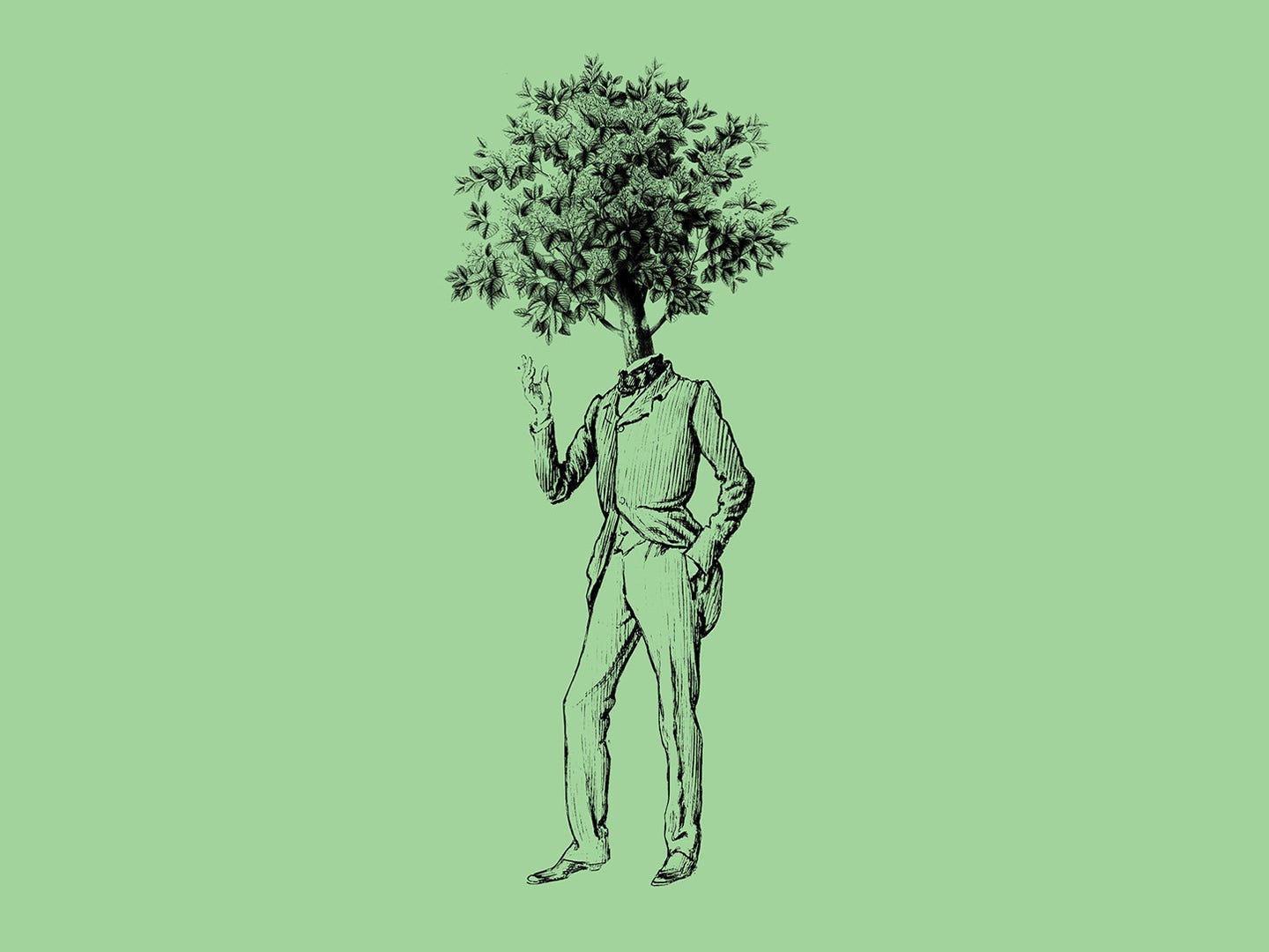 What If Humans Could Do Photosynthesis?