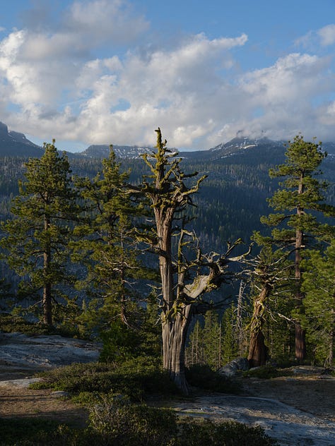 Snow capped mountain peaks and alpine lakes
