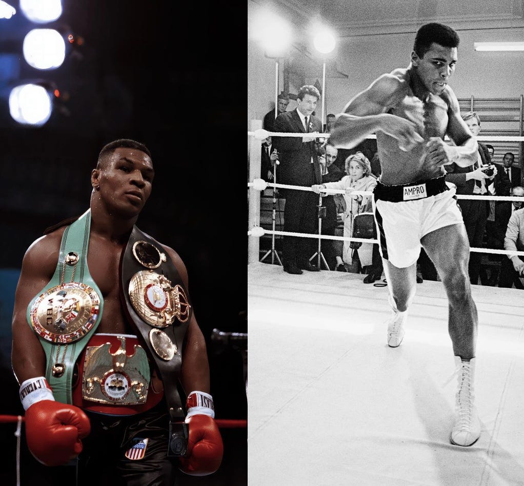 Strikewell Boxing The Striking Specialist Protocol - by Jack Krucial
