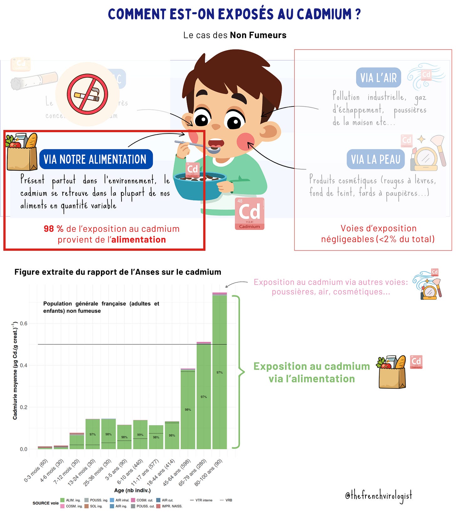 Infographie et graphique Anses : chez les non-fumeurs,  98 % de l'exposition au cadmium provient de l'alimentation,  tous âges confondus.