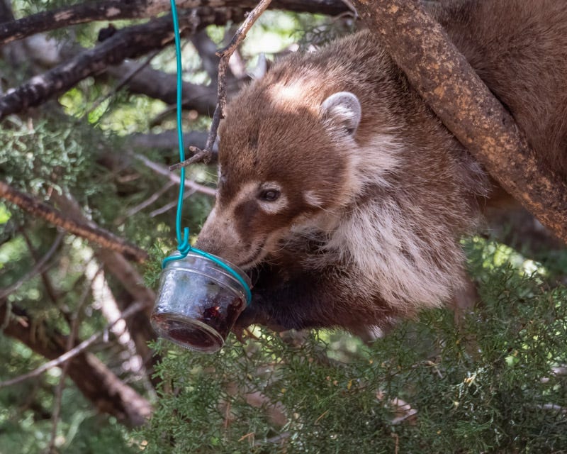 20240623-AZYBC-543-Edit.jpg 20240623-AZYBC-543-Edit.jpg