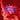 The_Narrator's avatar