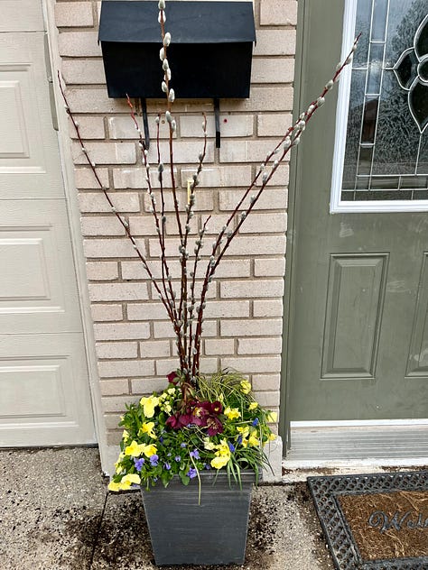 Colourful front planters for spring