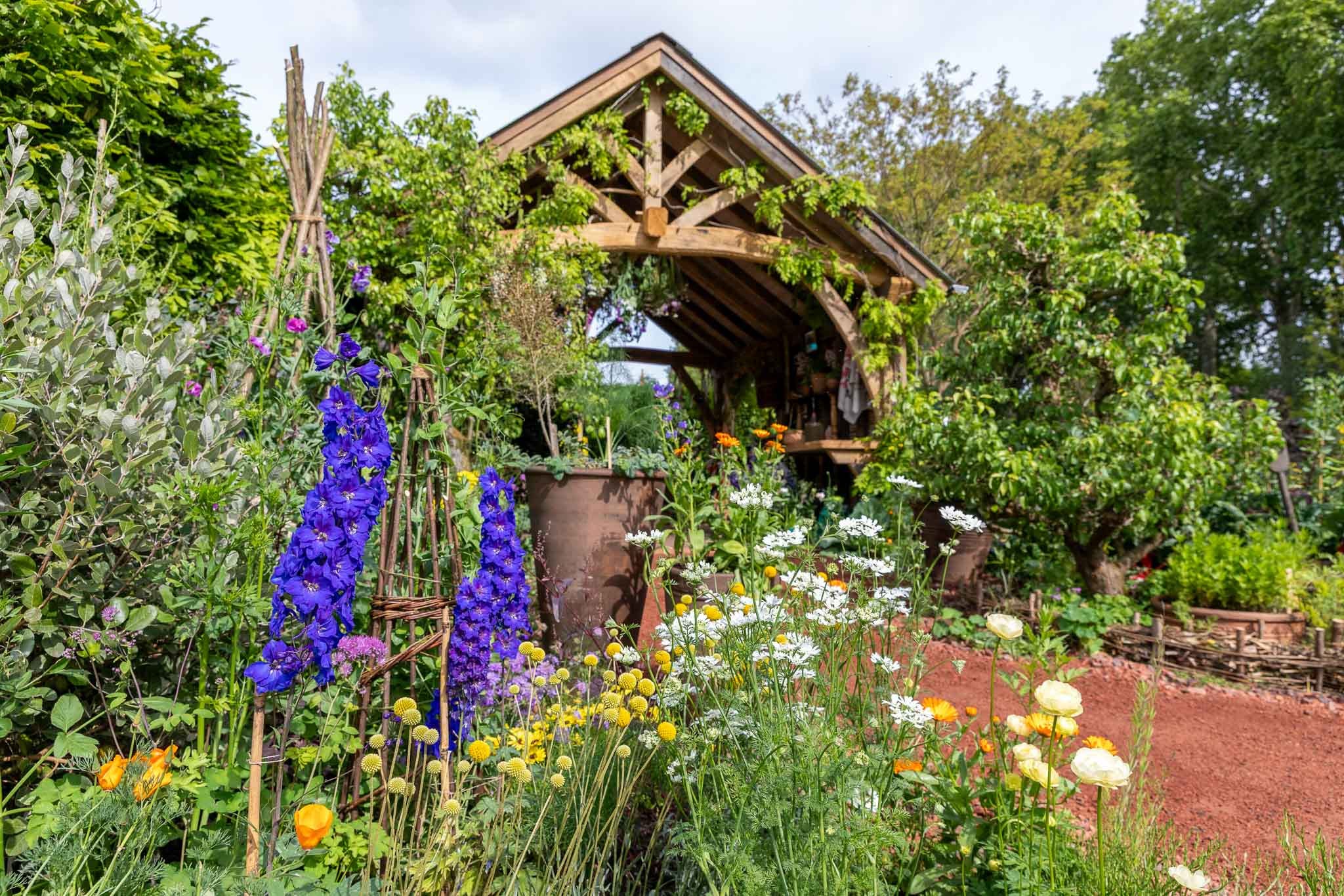 Honesty Rhs RHS Chelsea Flower Show 2026: My Very Honest REVIEW