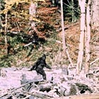 The Bigfoot Enigma