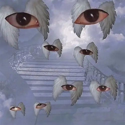 OIP_(5) OIP_(5)