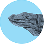 Lizard Salt's avatar
