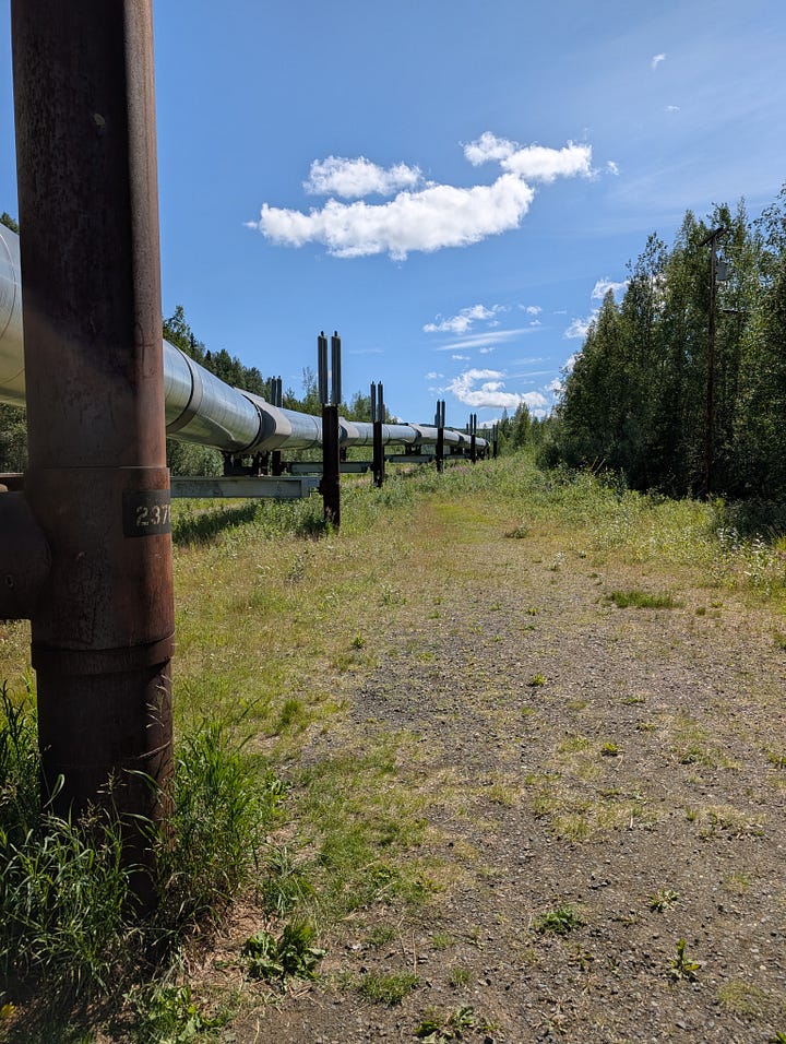 Alaska has deposits 49 of the 50 minerals needed for the production of engines, computers, and cell phones. But, environmental groups have opposed any Alaska resource development.