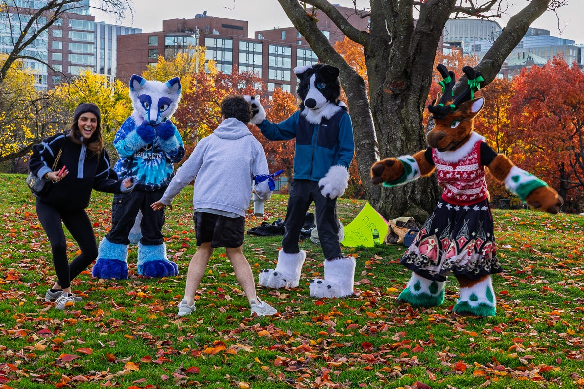 Furries and visitors gather on a leaf-covered hill during an impromptu meetup in the Boston Common.