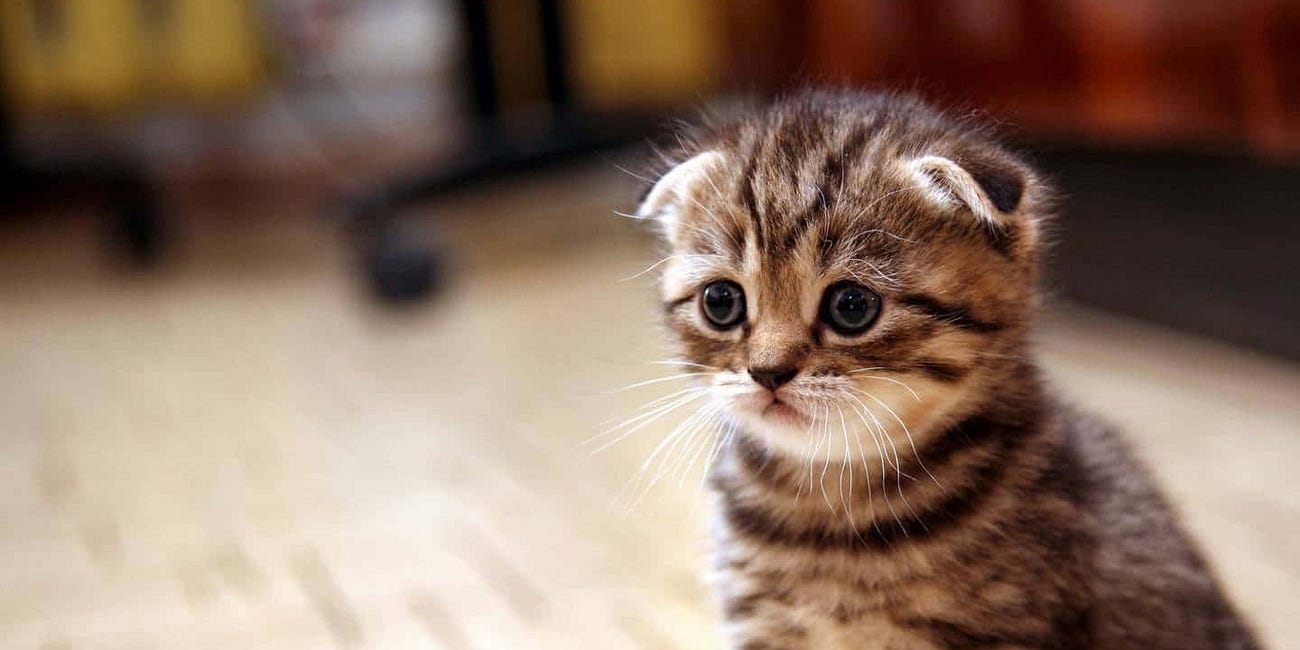 Cure for Pain #2: Una selección de los mejores discos tristes recientes