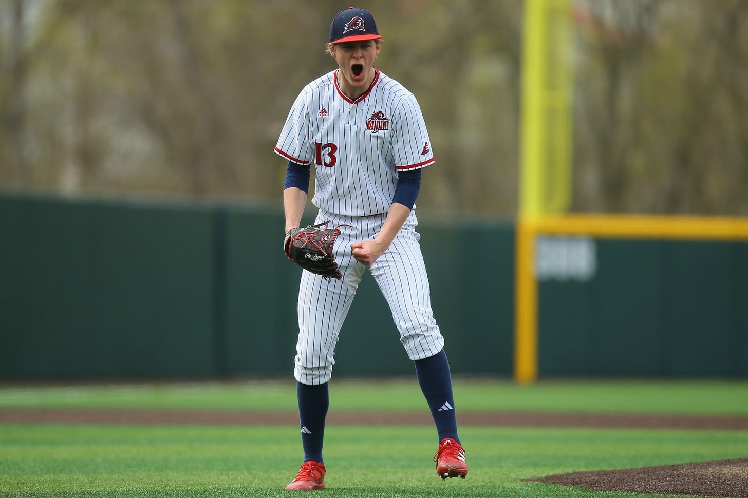 Holden deJong - Baseball - New Jersey Institute of Technology Athletics