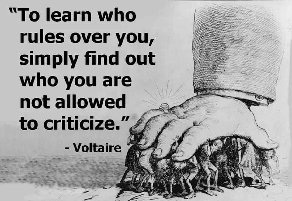 BlackHistoryStudies on X: ""To learn who rules over you, simply find out  who you are not allowed to criticize." - Voltaire https://t.co/kDODGFUnDV"  / X