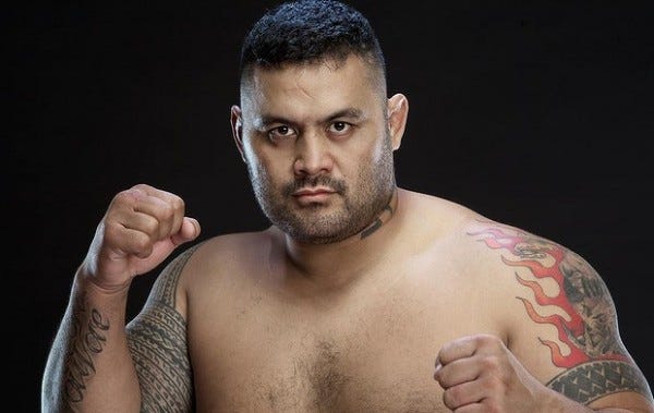 mark hunt most underrated ufc fighters 2015 mark hunt most underrated ufc fighters 2015