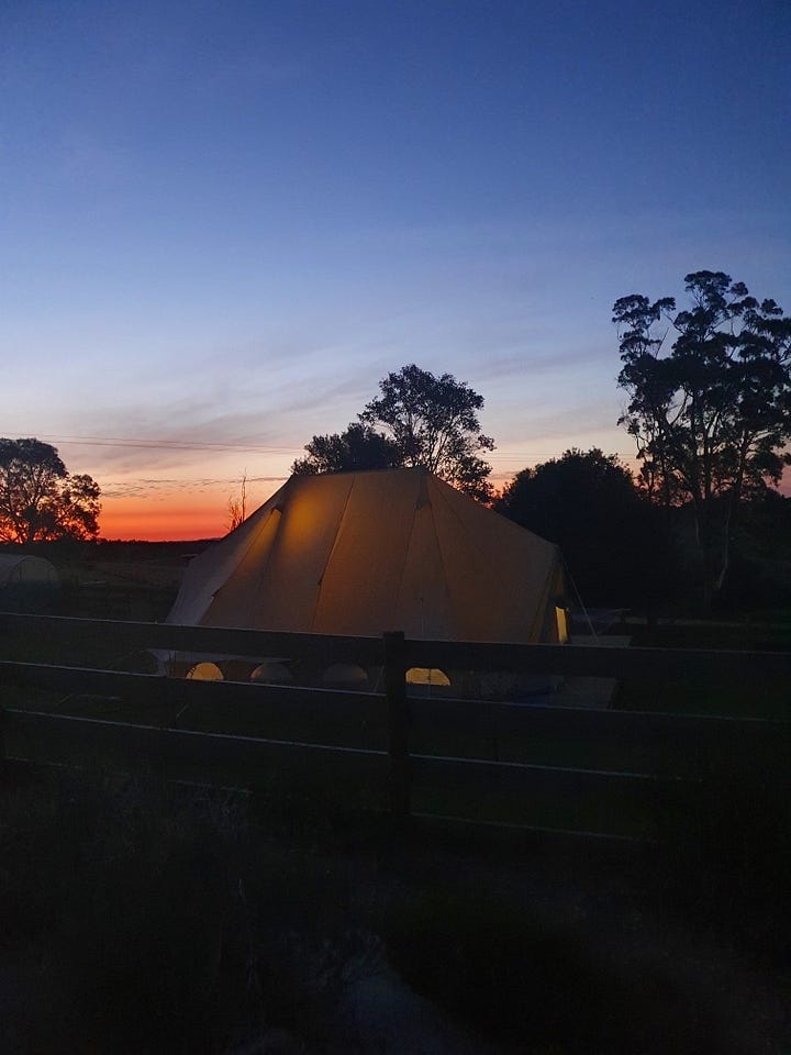 A young family living in a tent for the summer eating fresh organic food.