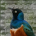 Chirping with Chopin