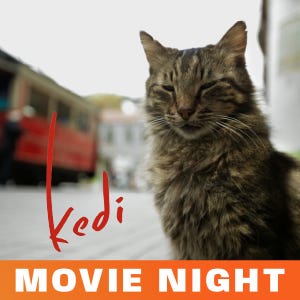 kedi is a documentary we are showing for international movie night