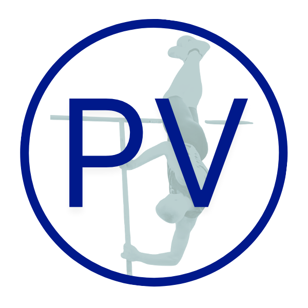 Artwork for Pole Vault Online