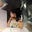 Shweta Maurya's avatar