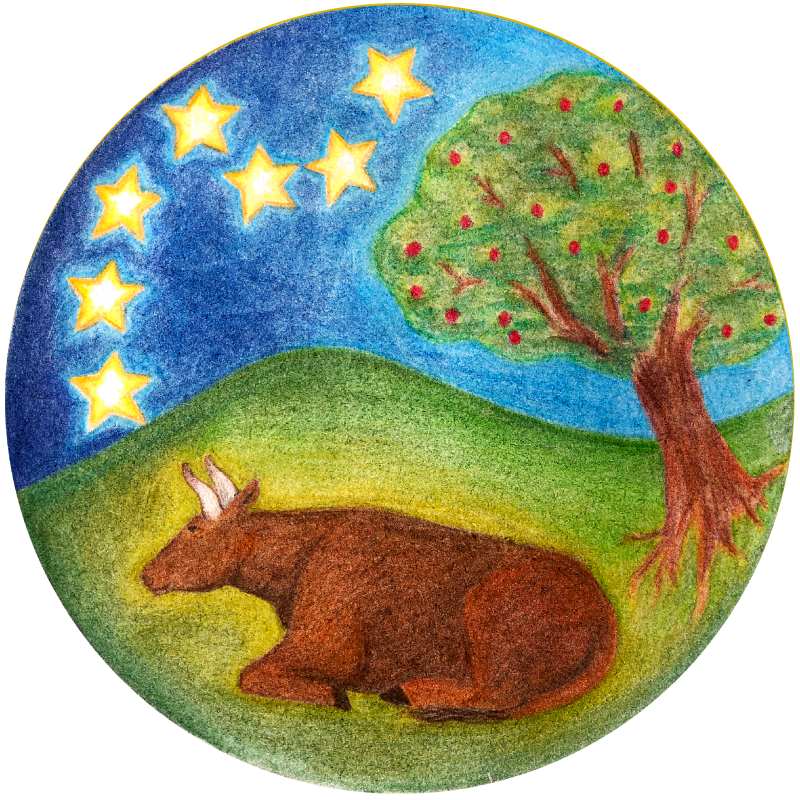 Soul and Soil - A Newsletter For Ursa Farm