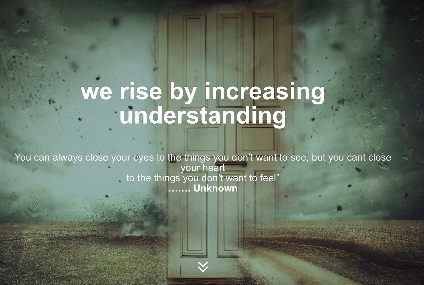 https://insightfoundation.co.uk