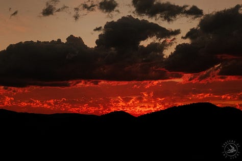 Fuji photographs of life in Montana by Tyler Knott Gregson