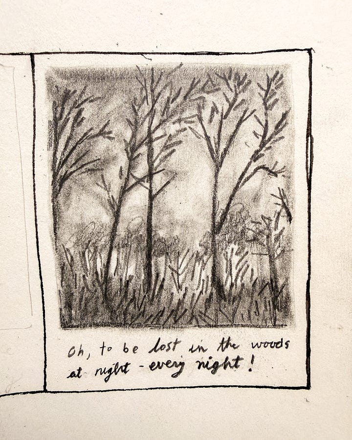 pencil and graphite, graphic novel