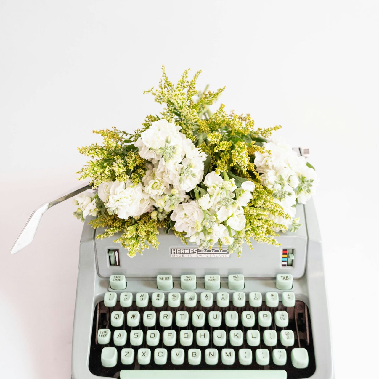 Meadow's Field Journal