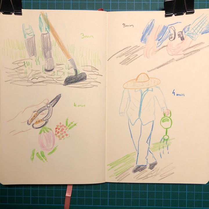 Photos des cinq doubles-pages de mon sketchbook où j’ai dessiné des scènes de potager en animant la session live sur ma chaîne Youtube.