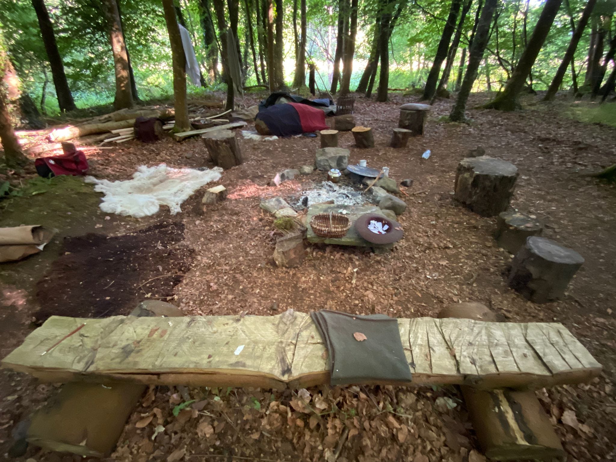 A small clearing in the trees; in the centre, a ring of stones mark out the fire-place. Around this a bench made oa log split lengthwise, a collection of log stools, and a scattering of blankets and animal skins are arranged as seating and lounging spacea. Beyond are more trees and the river.  behind this space lies a large bundle on the ground; wrapped in wet towels and blankets are bundles of willow sticks for weaving. They have to be kept damp so that they are flexible enough to weave. Around the site are scattered the dtritus of the night's revelries: cups, plates, a teapot, ashes from the fire, and a hat with bits of paper in it, the remains of a hilarious game that was played. 