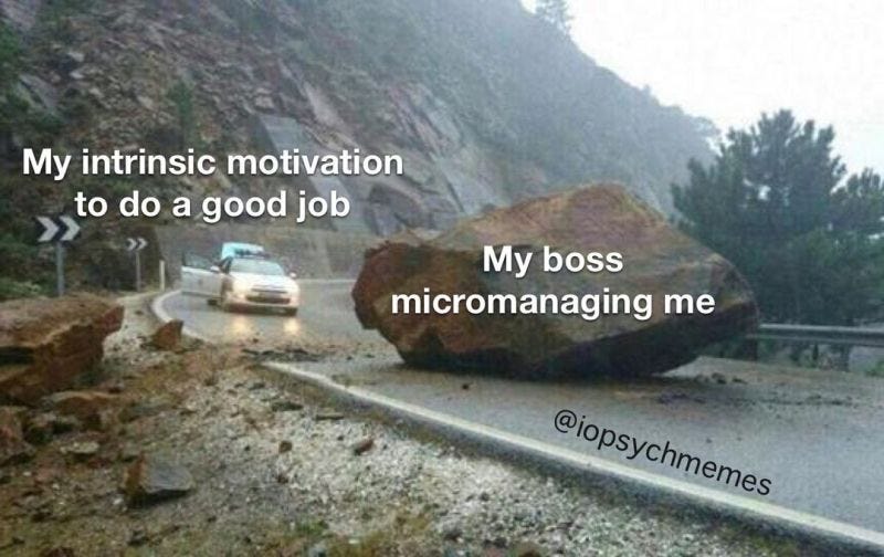 Image of a massive boulder in the road with a car trying to get past. The car says "my intrinsic motivation to do a good job" the rock says "my boss micromanaging me"